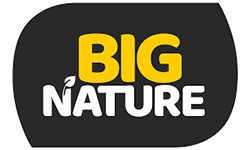 Big Nature